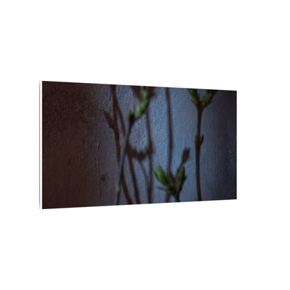 Shadow Play Spring Canvas Art | Dark Japandi Sophisticated Design