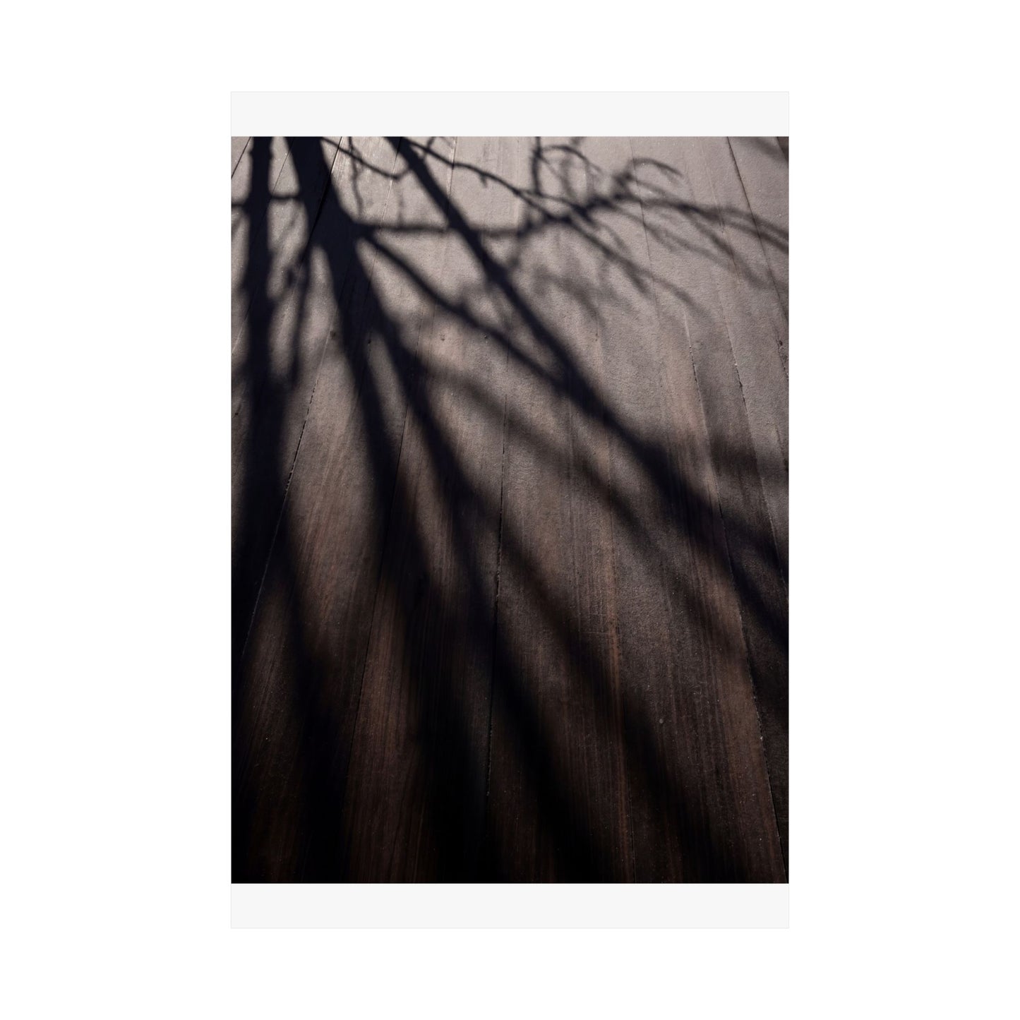 Ma Shadow Play Wall Art Print - Dark Japandi Moody Minimal