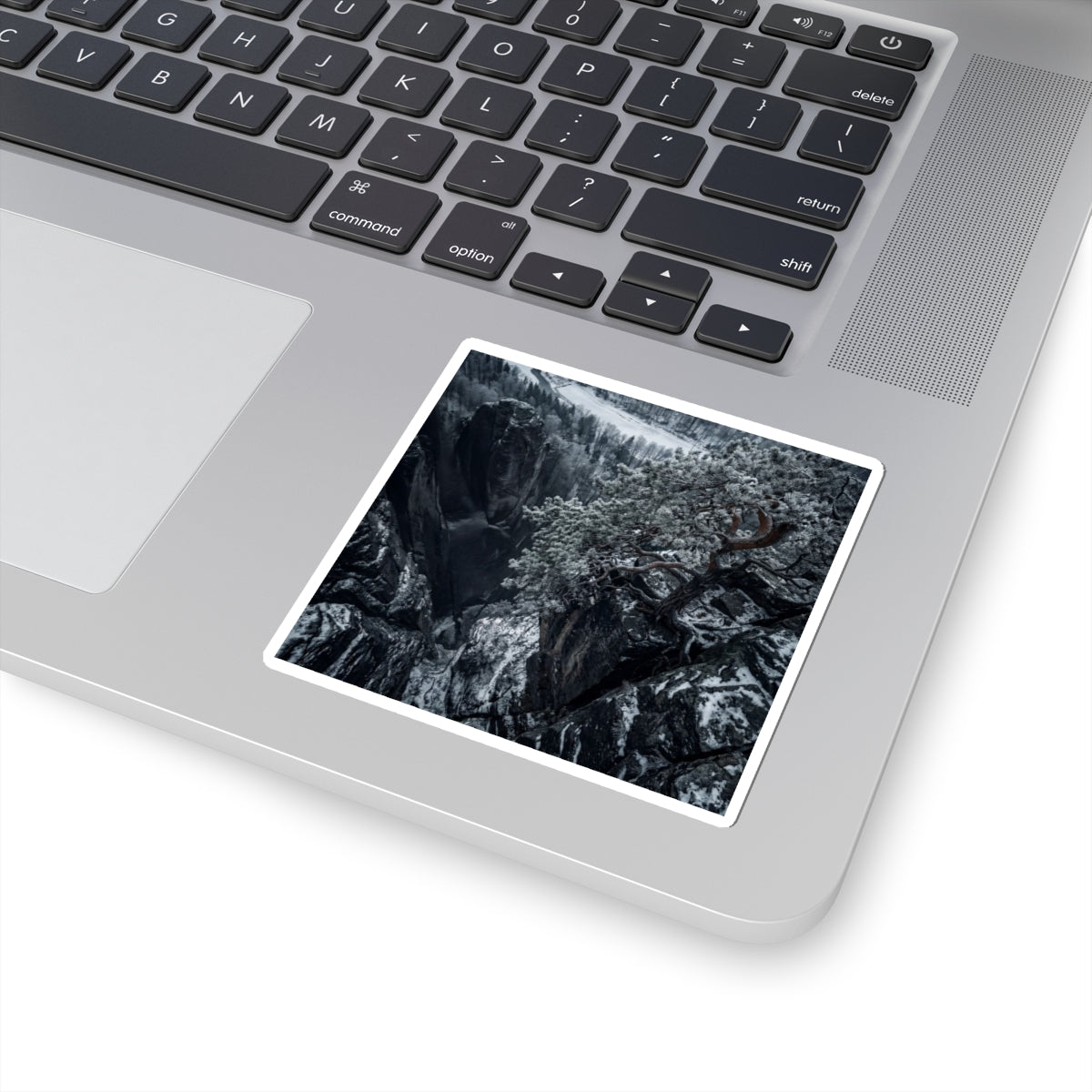 Dappled Pine Tree Sticker - Dark Japandi Seijaku Art Print