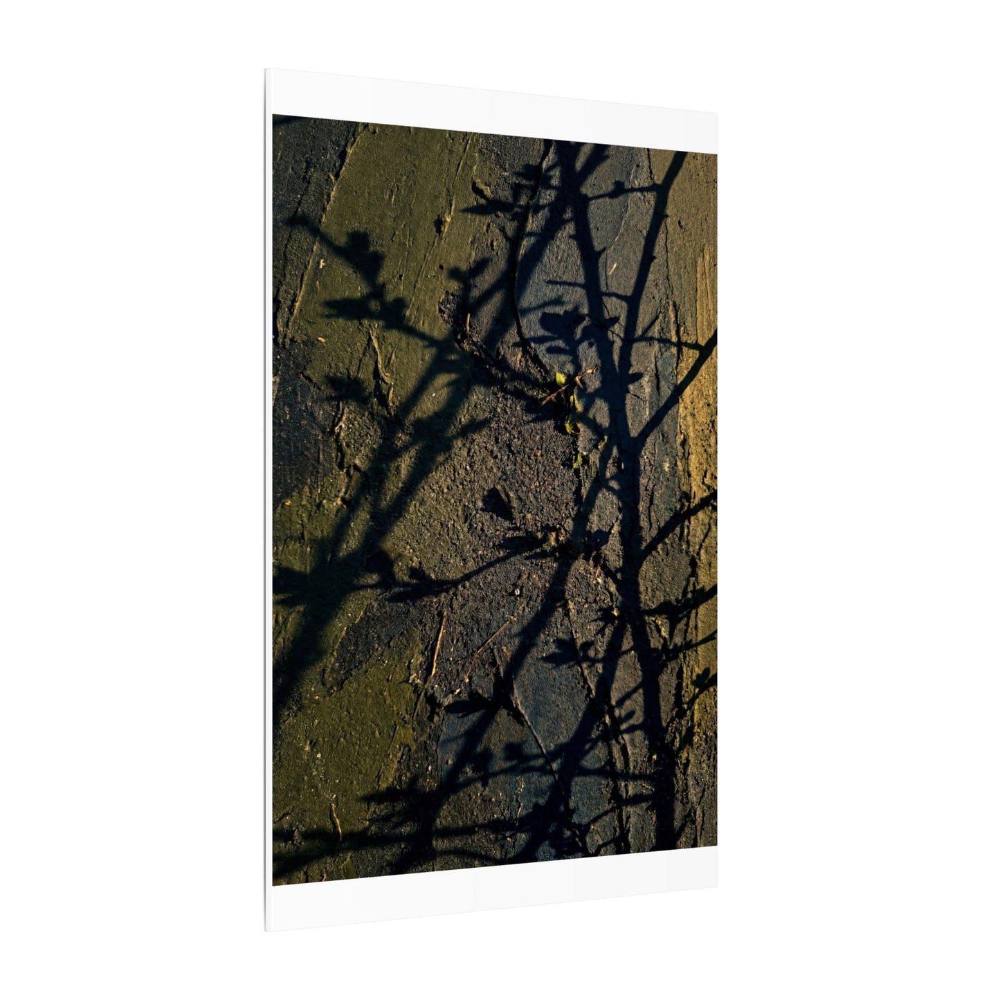 Kanso Shadow Play Canvas Art - Dark Japandi Dark Texture