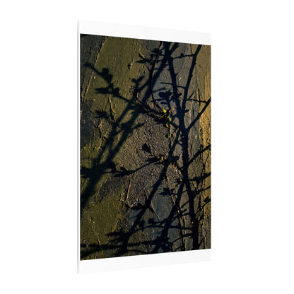 Kanso Shadow Play Canvas Art - Dark Japandi Dark Texture