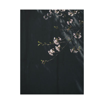 Cherry Blossom Spring Canvas Art | Dark Japandi Sophisticated Design
