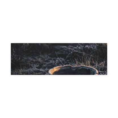 Kanso Ceramic Bowl Canvas Art - Dark Japandi Dark Texture