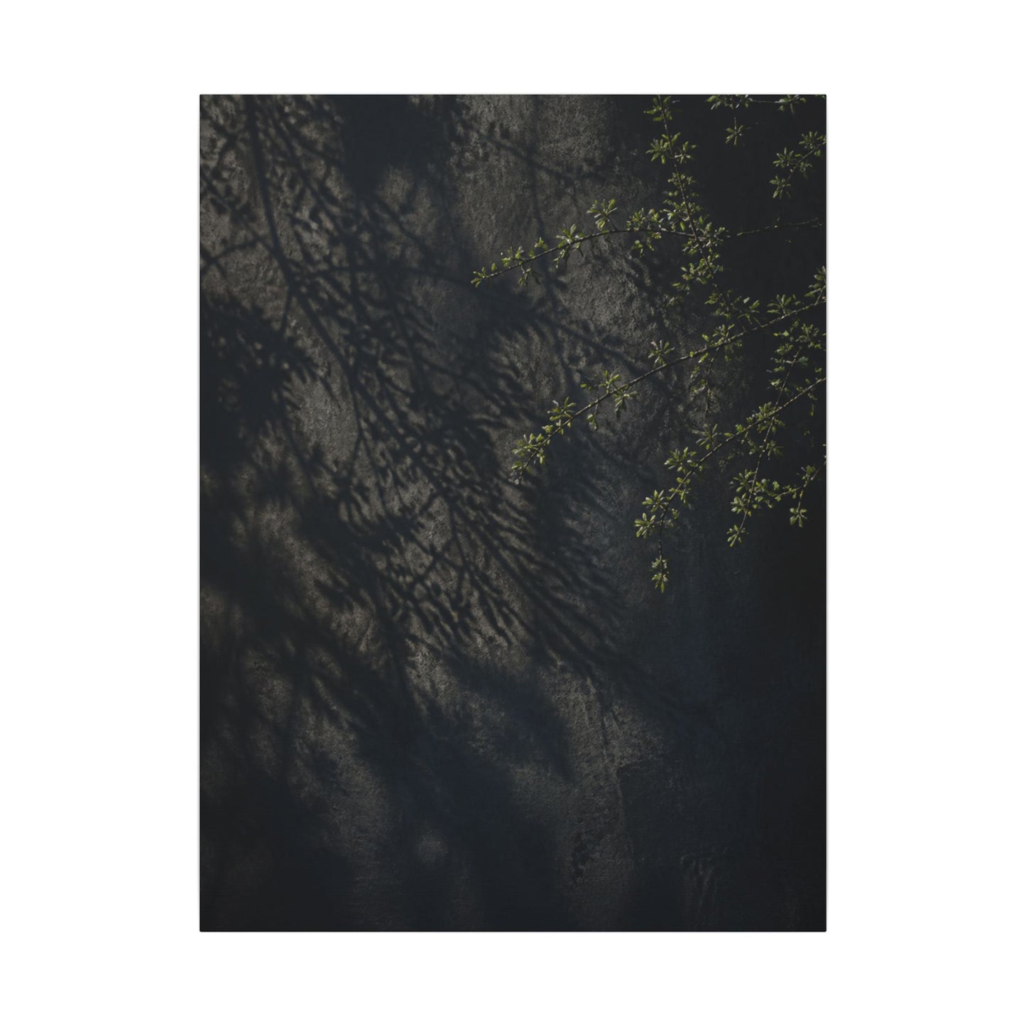 Overcast Shadow Play Canvas Art - Dark Japandi Seijaku
