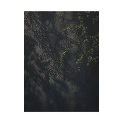 Overcast Shadow Play Canvas Art - Dark Japandi Seijaku