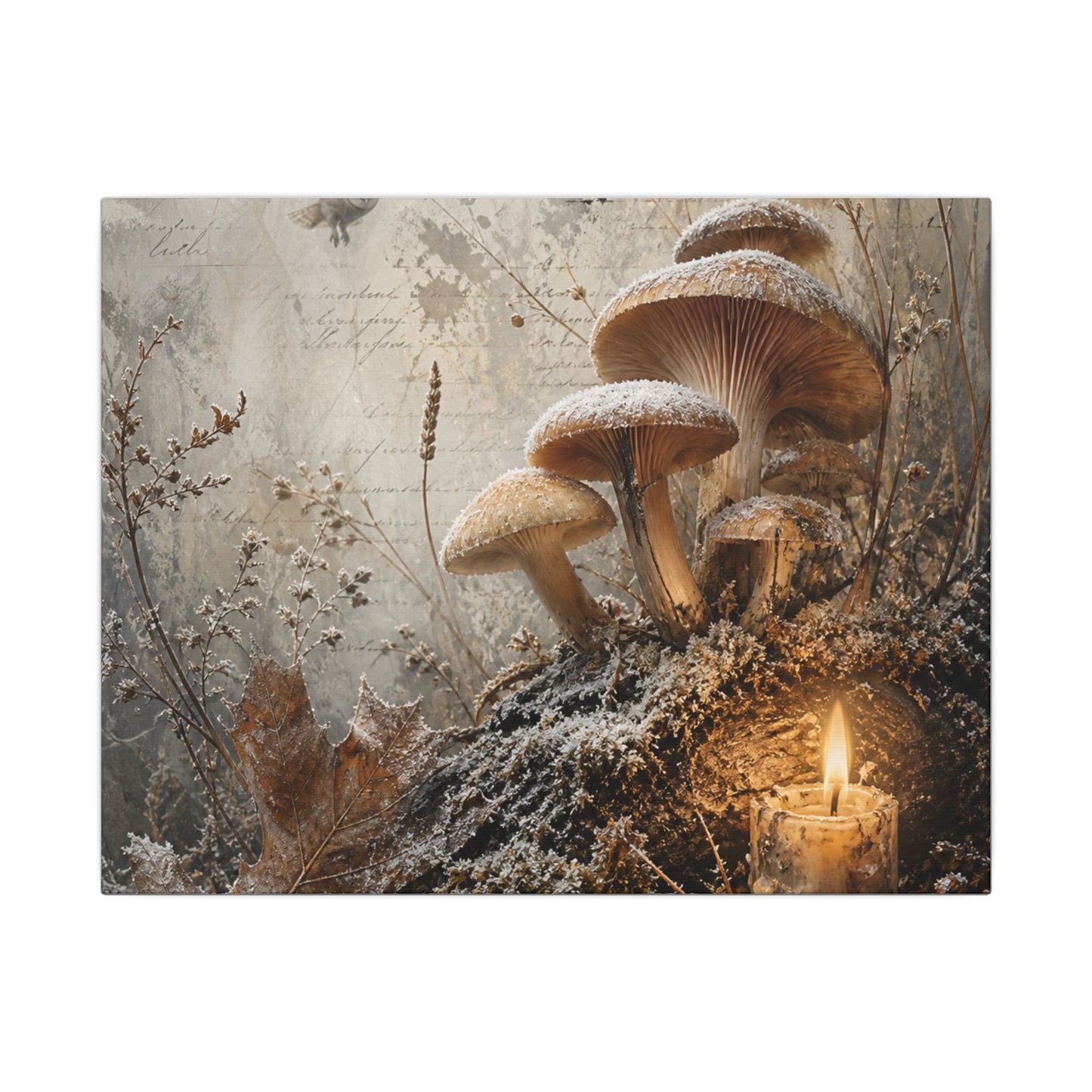 Wild Mushrooms Texture Canvas Art | Elegant Japandi Art
