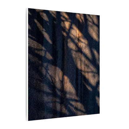 Dark Japandi Shadow Play in Golden Hour | Shadow Zen Canvas Art