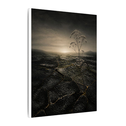 Dawn Cracked Earth Canvas Art - Dark Japandi Mono No Aware