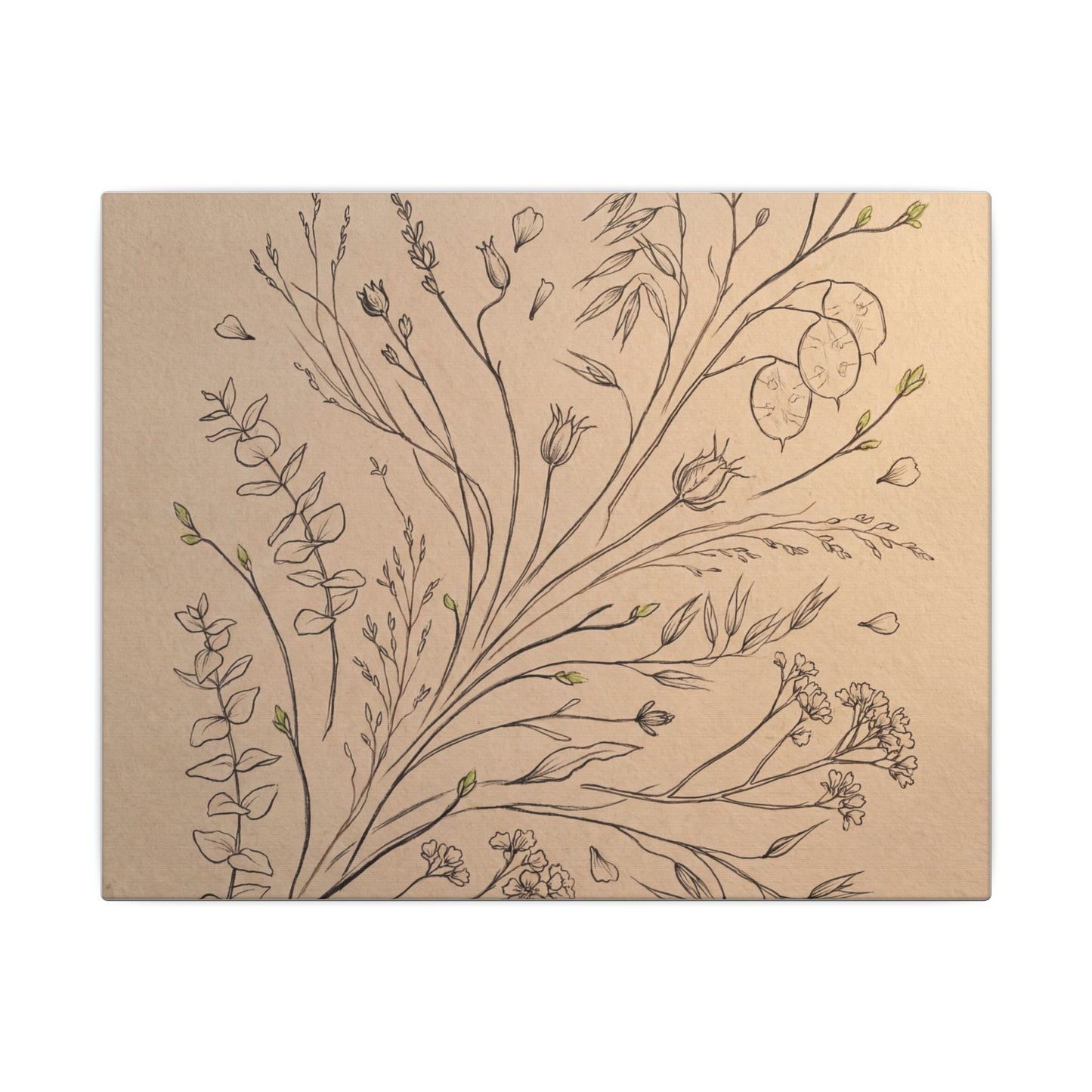 Dried Flowers Canvas Art | Spring Japandi Minimal Line Art