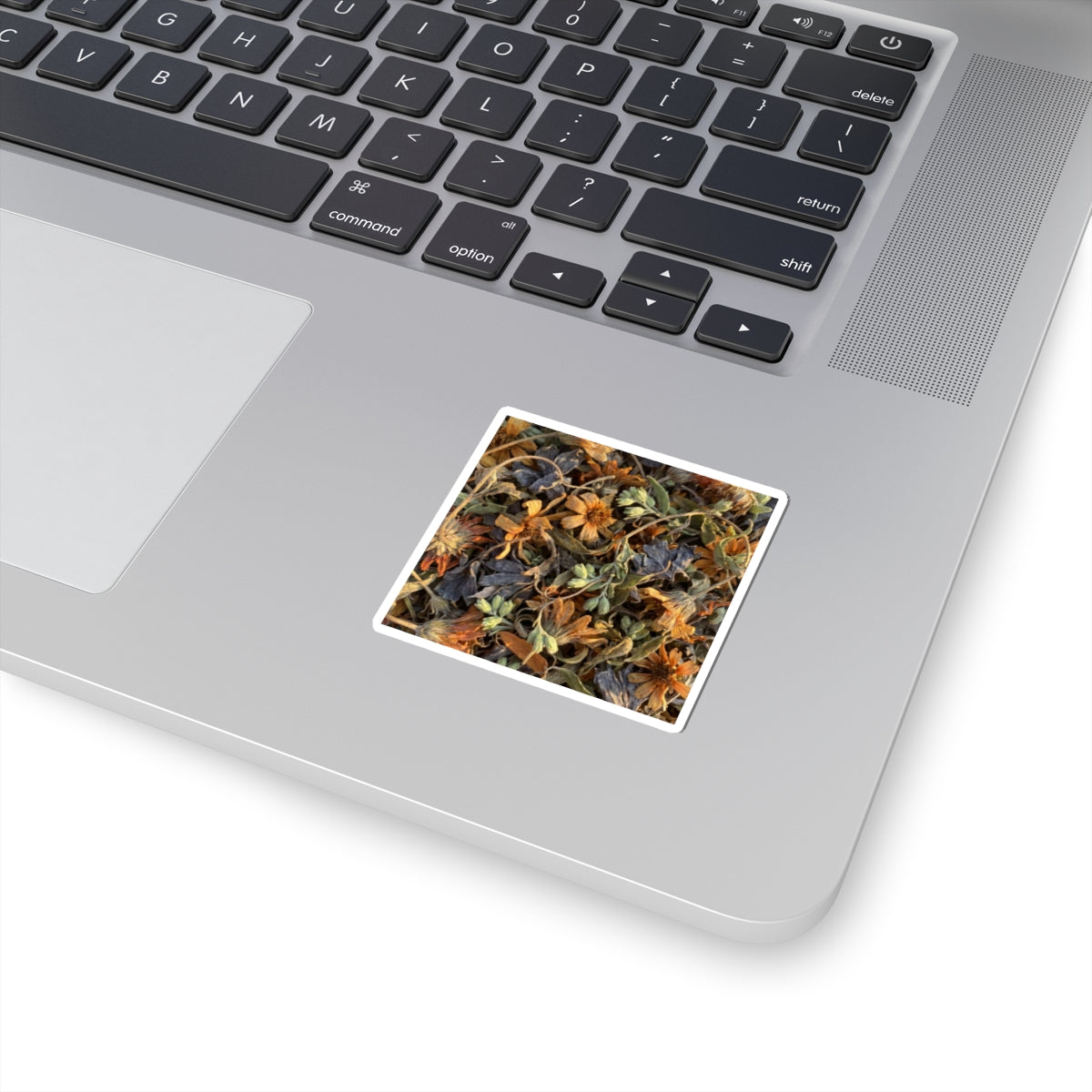 Dried Flowers Spring Sticker | Japandi Cozy Design