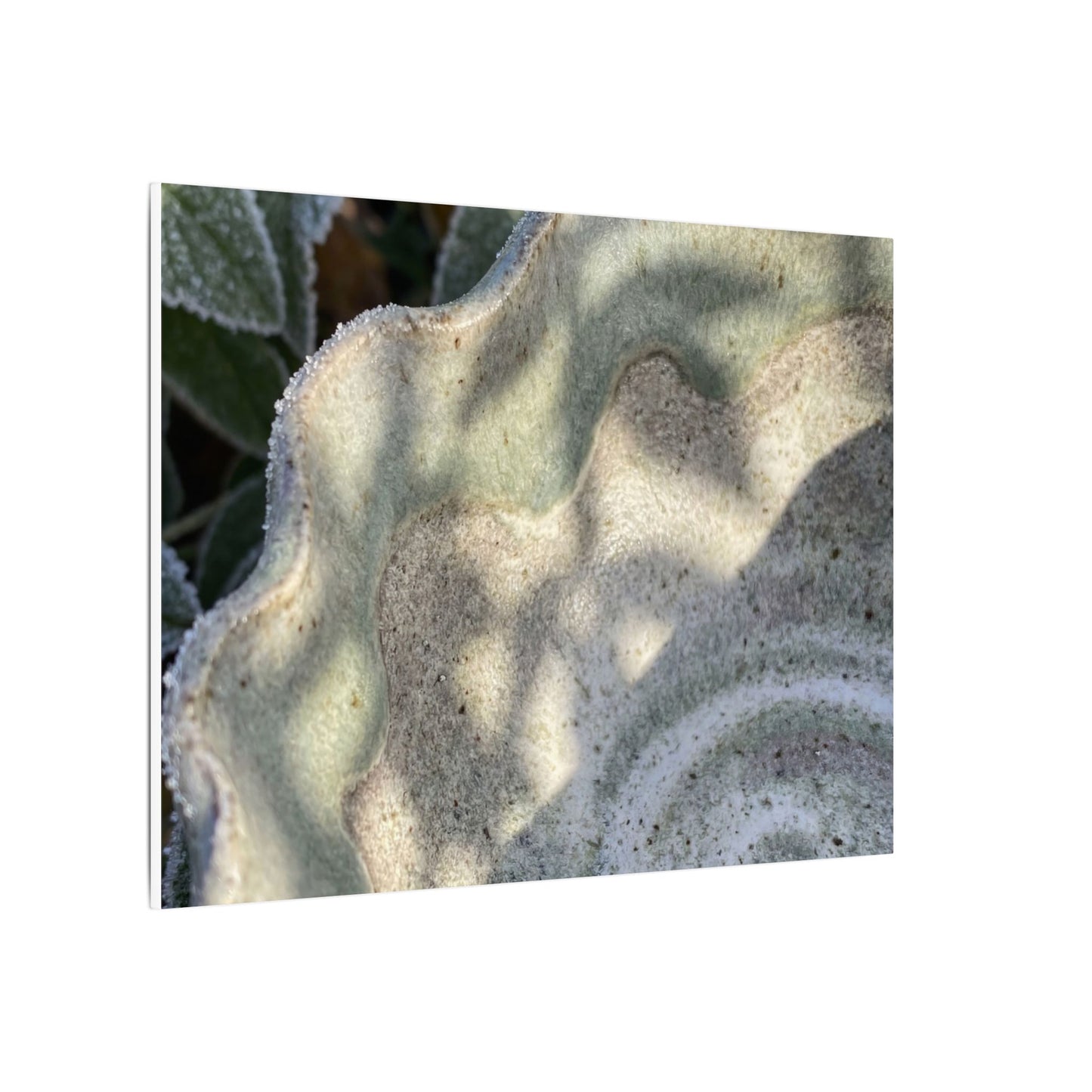 Dappled Ceramic Bowl Canvas Art - Japandi Seijaku