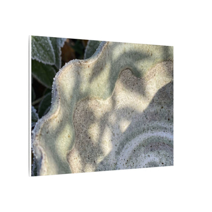Dappled Ceramic Bowl Canvas Art - Japandi Seijaku