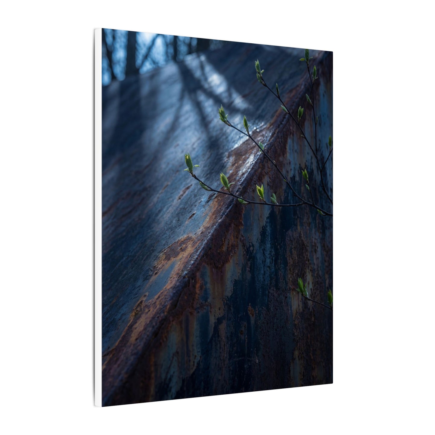 Rust Patina Canvas Art | Spring Dark Japandi Shadow Zen Art