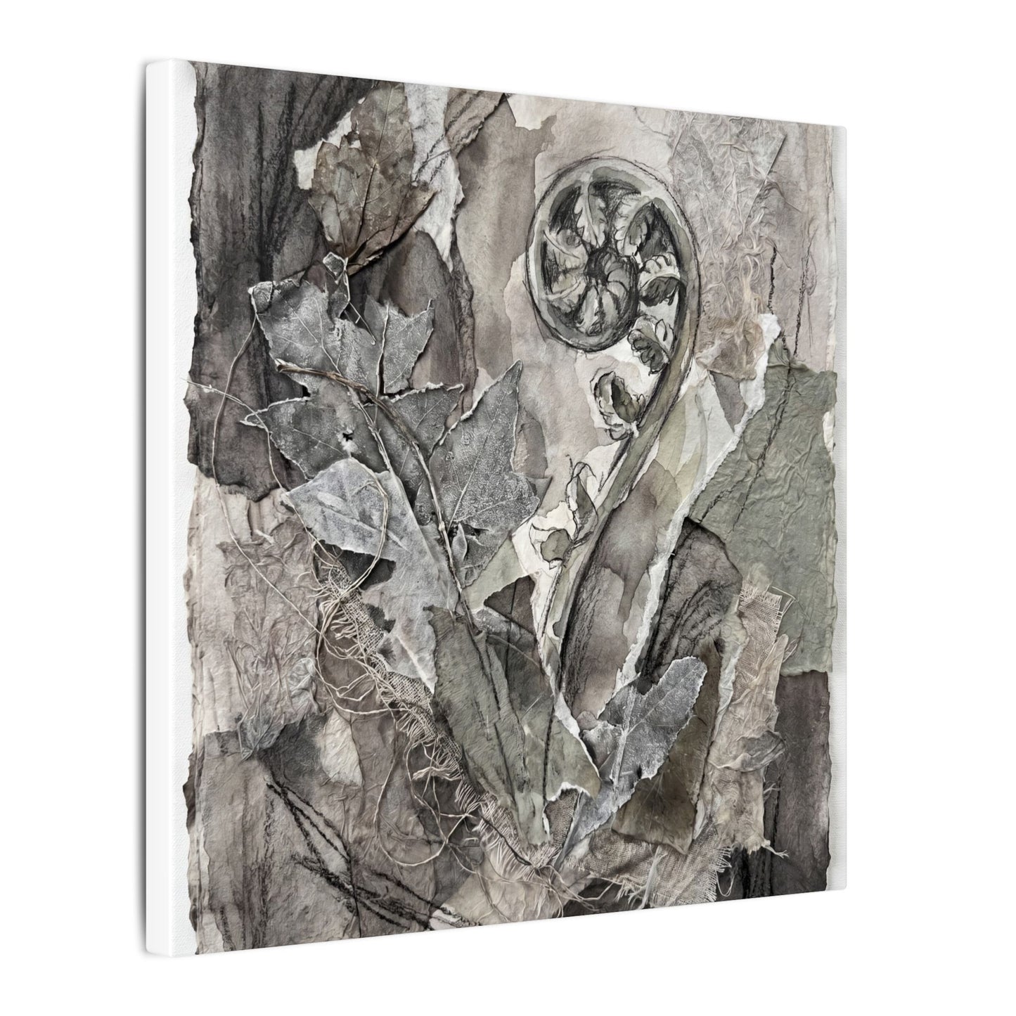 Japandi Fern Unfurling in Overcast | Texture Canvas Art