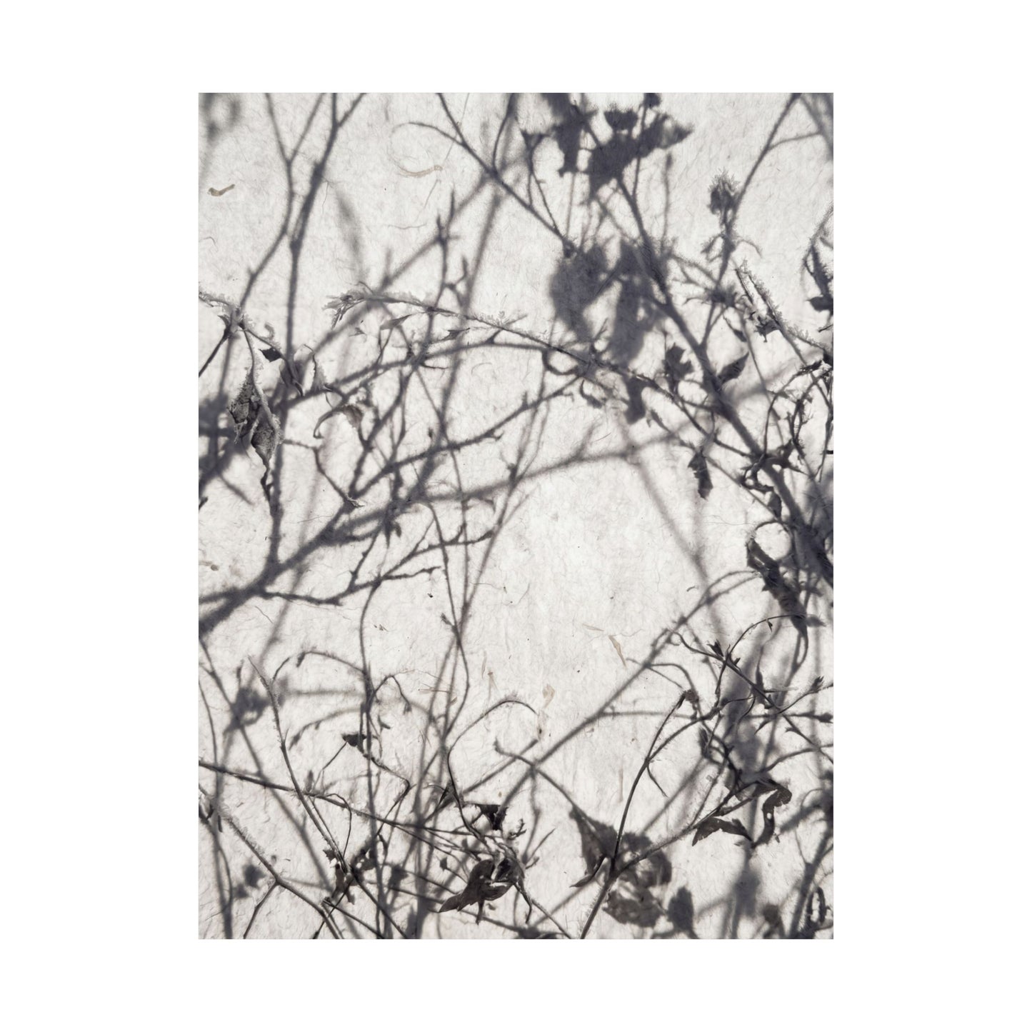 Shadow Play Wall Art Print | Winter Japandi Japanese Pattern Art