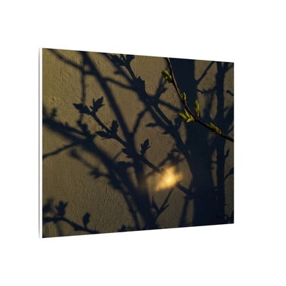 Bold Shadow Play Canvas Art - Moody Minimal Dark Japandi