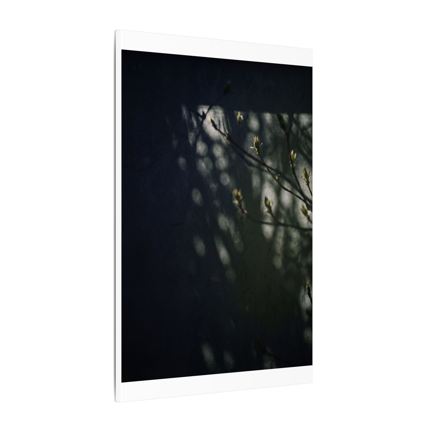Dark Japandi Shoji Screen in Dappled | Moody Minimal Canvas Art