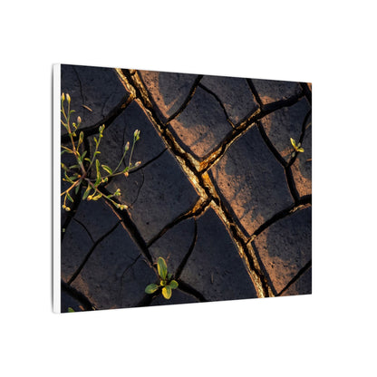 Kintsugi Cracked Earth in Golden Hour | Gold Vein Canvas Art