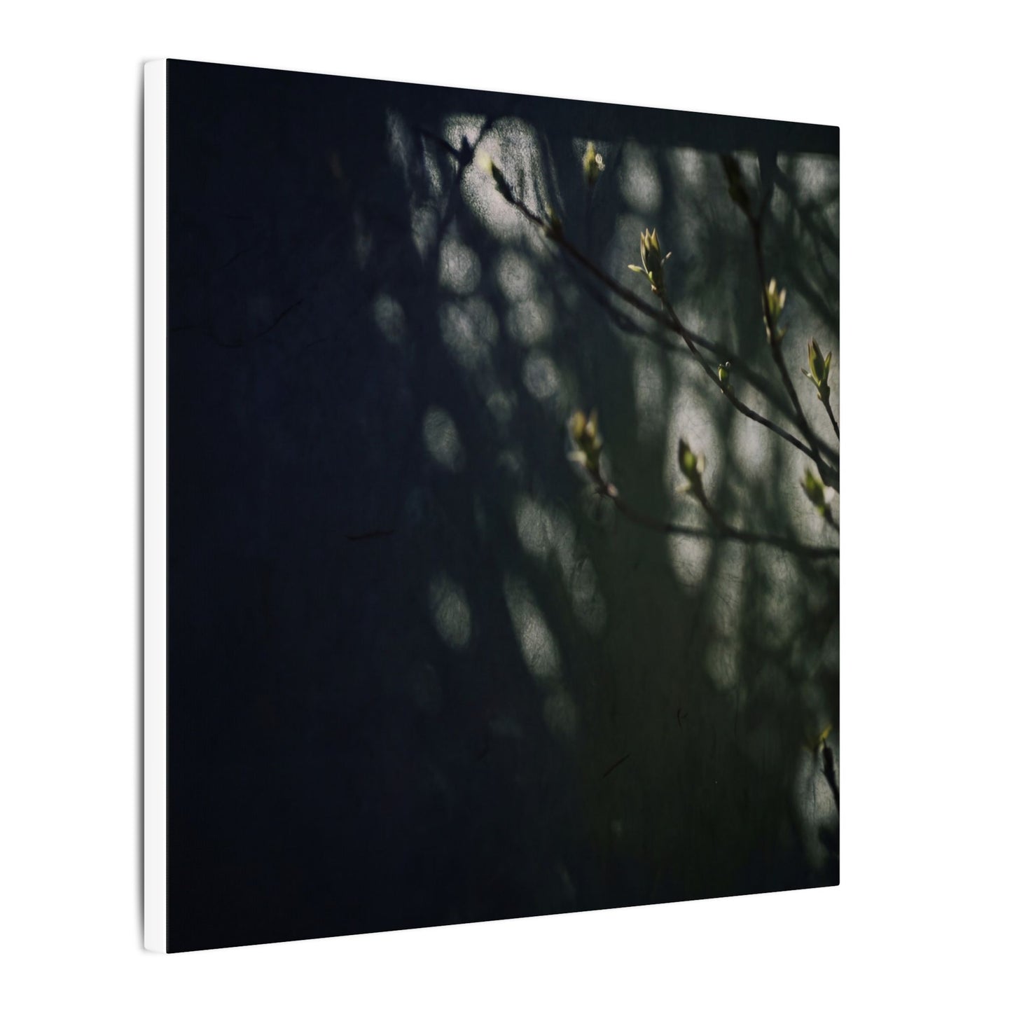 Dark Japandi Shoji Screen in Dappled | Moody Minimal Canvas Art