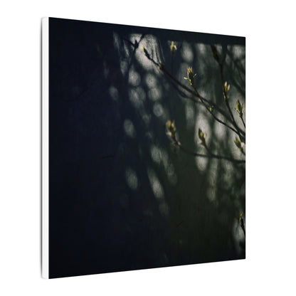 Dark Japandi Shoji Screen in Dappled | Moody Minimal Canvas Art