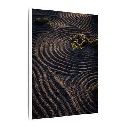 Spring Rock Garden Shadow Zen Canvas Art | Atmospheric Decor