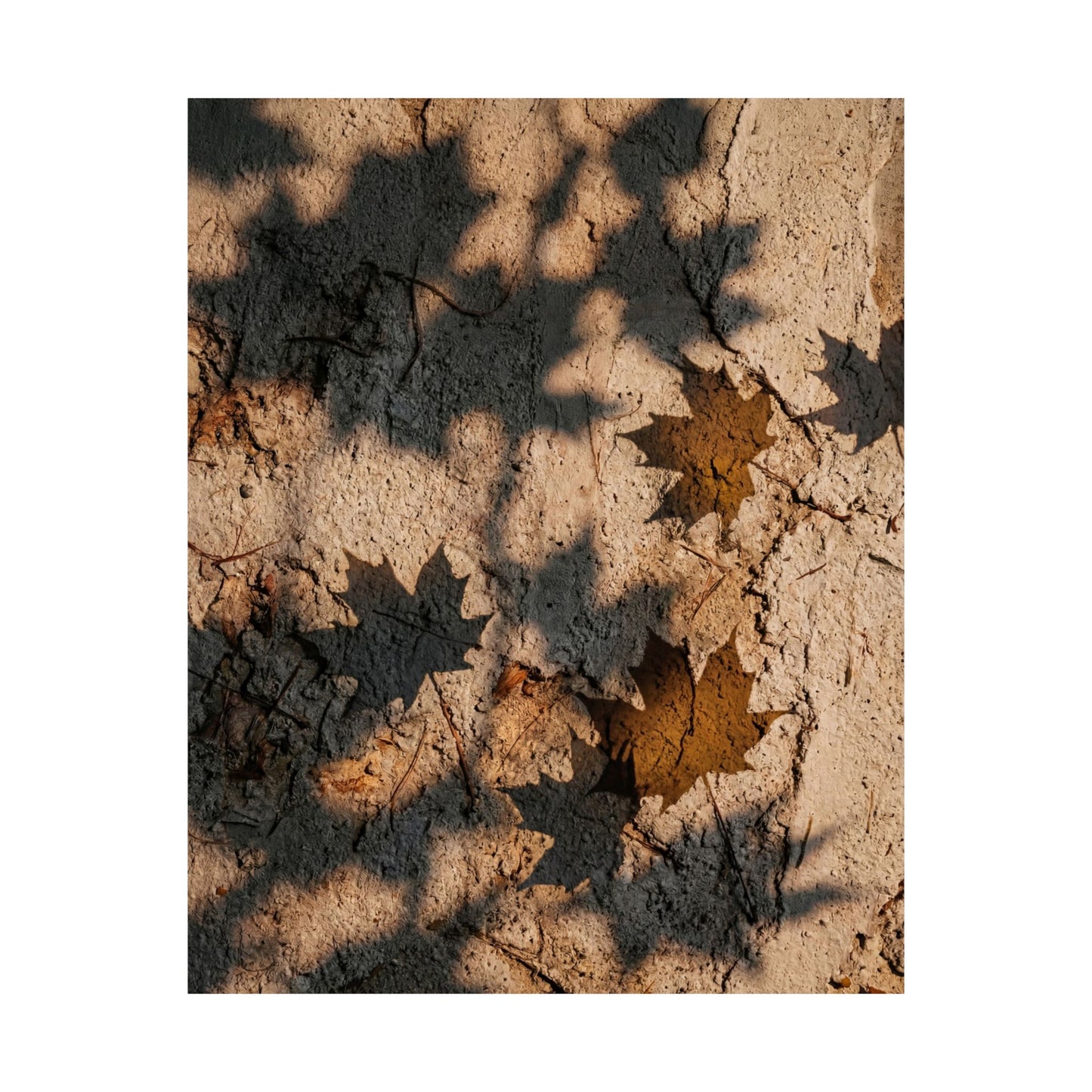 Shadow Play Texture Wall Art Print | Cozy Japandi Art