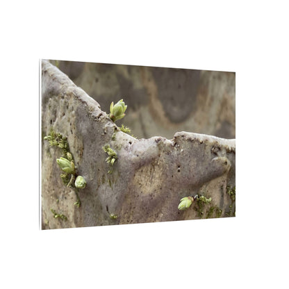 Overcast Ceramic Bowl Canvas Art - Japandi Fukinsei