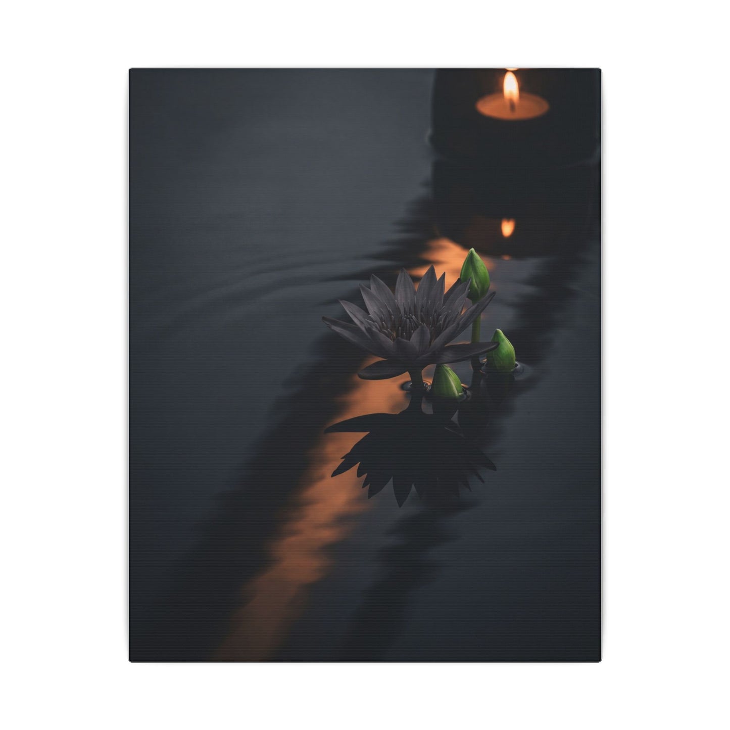 Seijaku Lotus Flower Canvas Art - Dark Japandi Shadow Zen