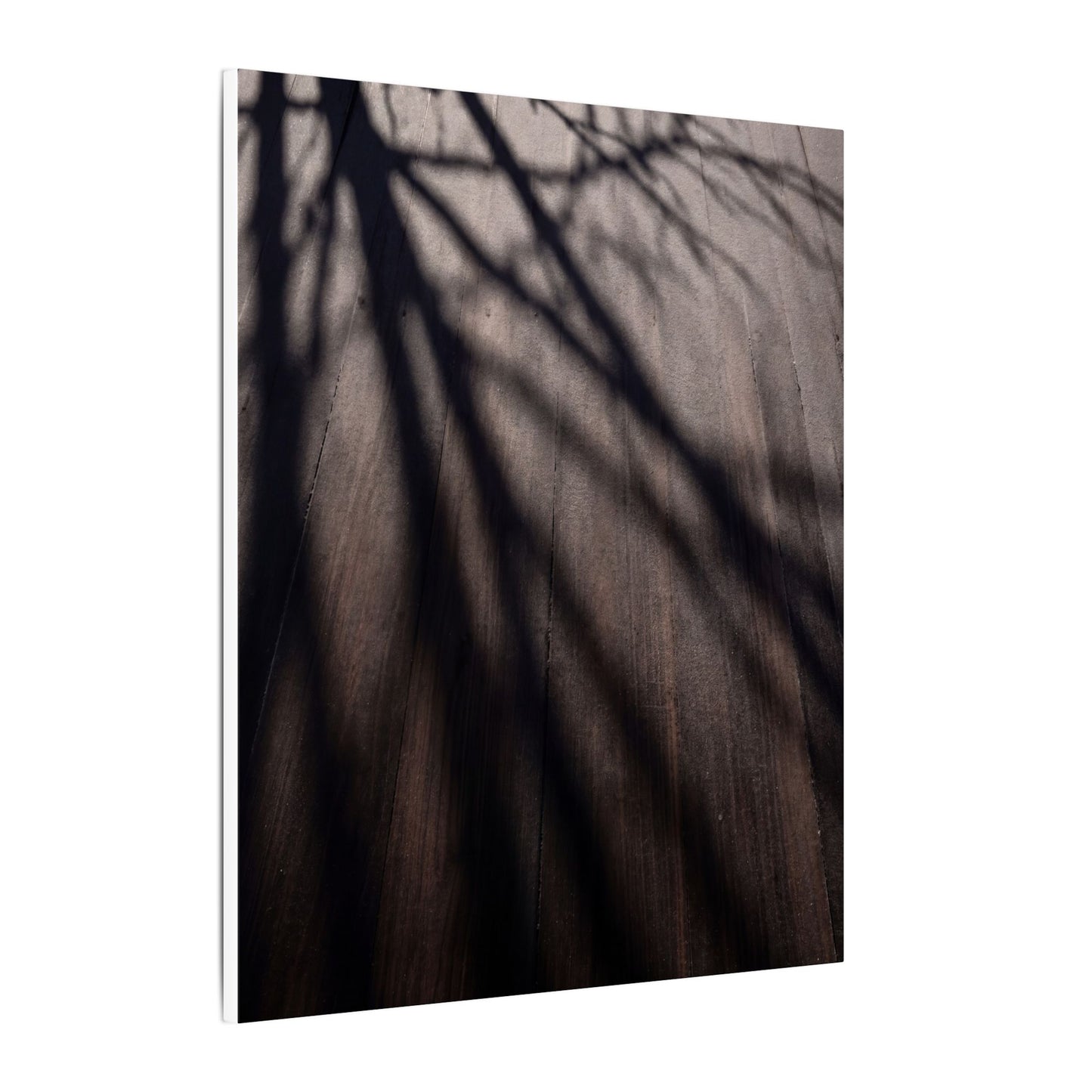 Dark Japandi Shadow Play in Dawn | Moody Minimal Canvas Art