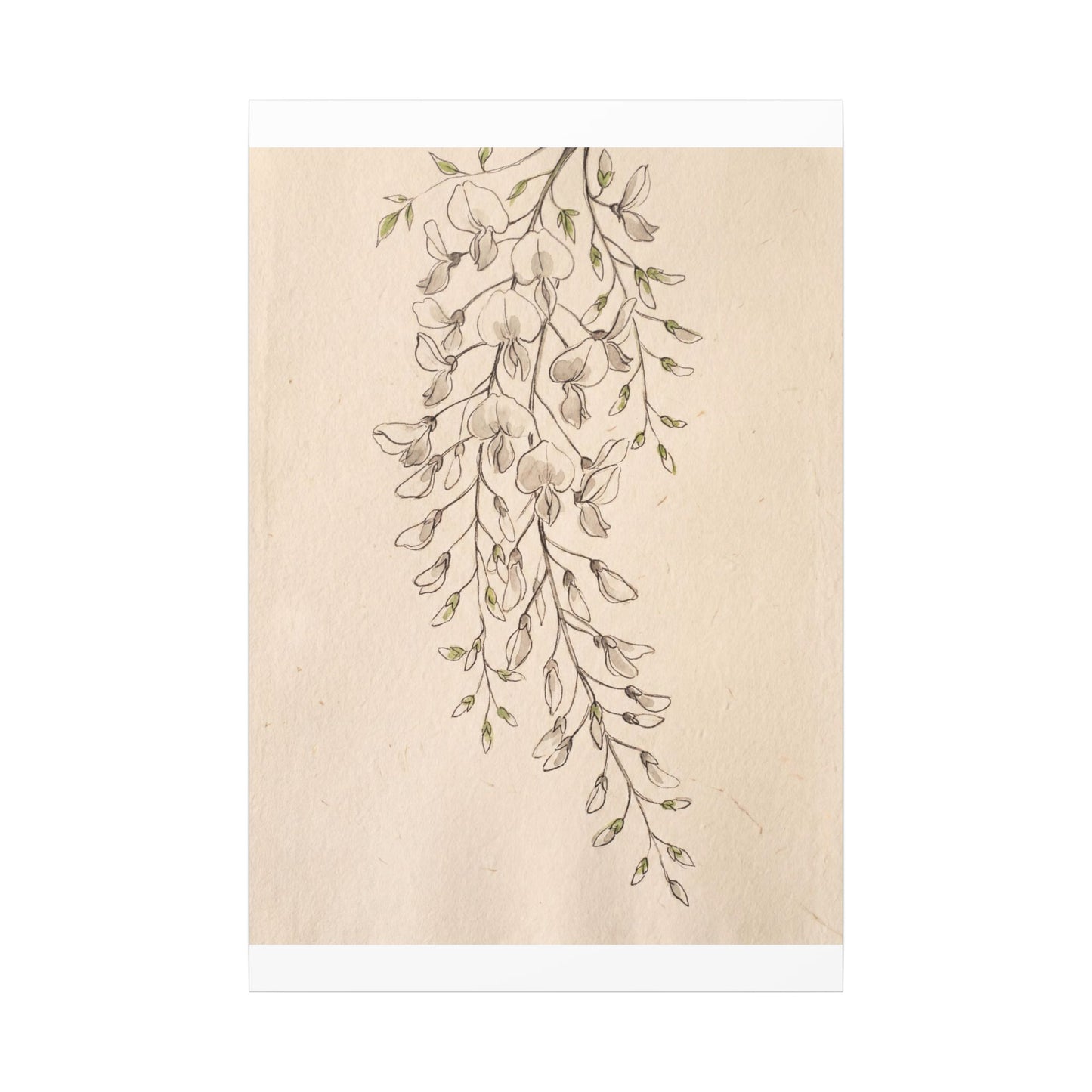Japandi Wisteria in Golden Hour | Minimal Line Canvas Art