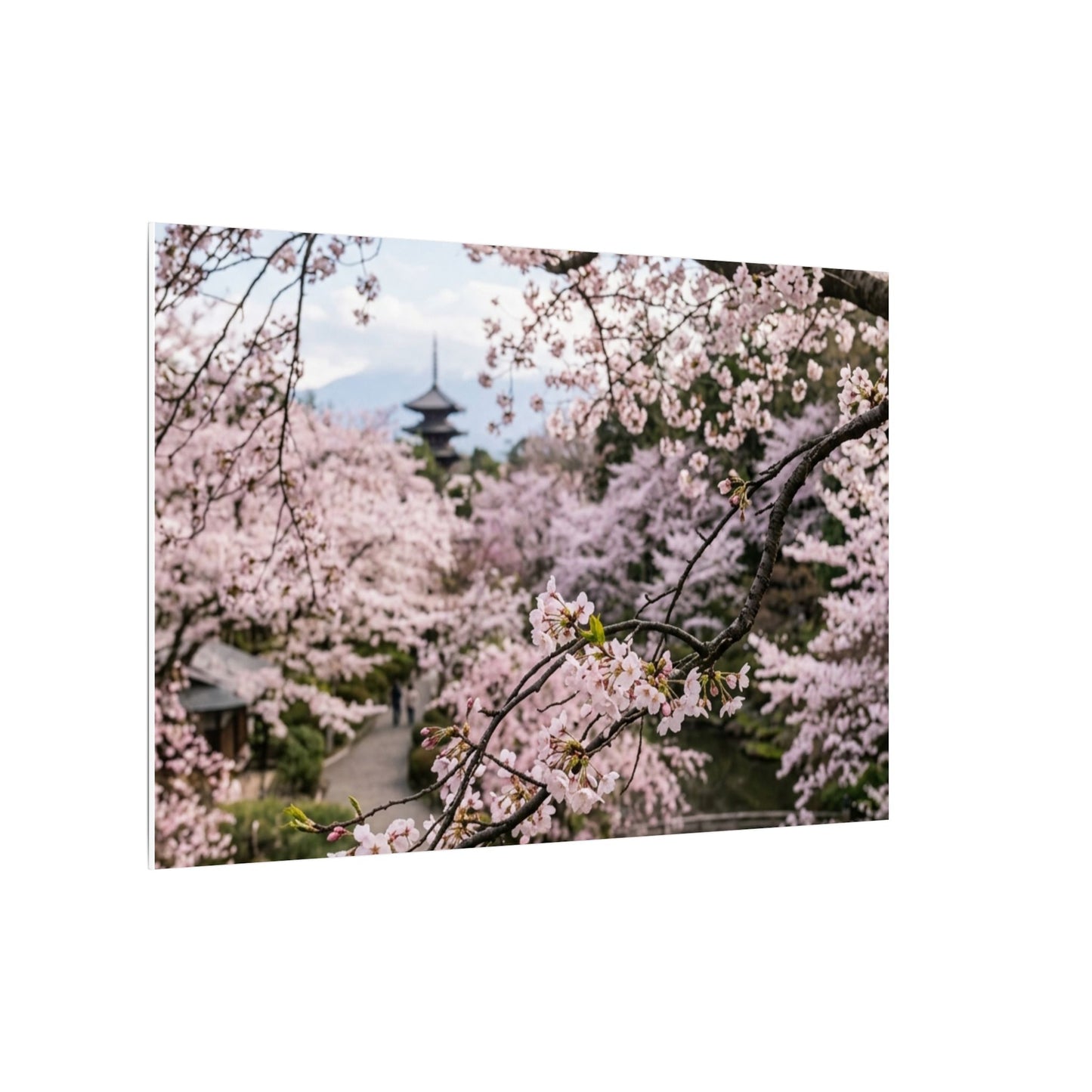 Cherry Blossom Winter Canvas Art | Dark Japandi Luxurious Design