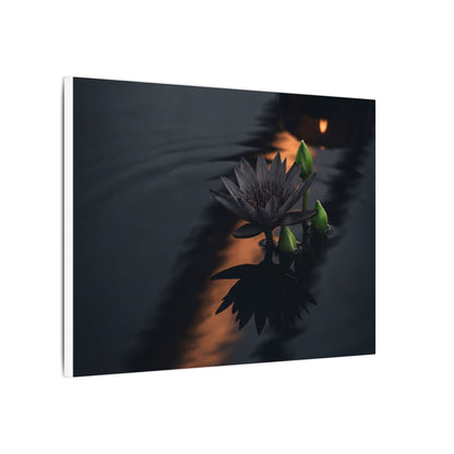 Seijaku Lotus Flower Canvas Art - Dark Japandi Shadow Zen