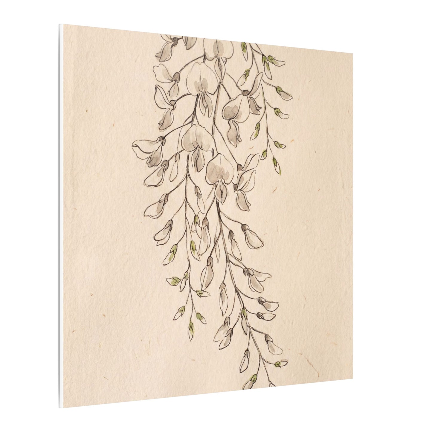 Japandi Wisteria in Golden Hour | Minimal Line Canvas Art