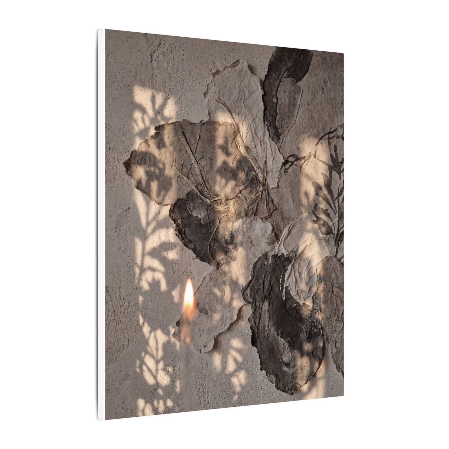 Shadow Play Summer Canvas Art | Japandi Elegant Design