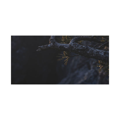 Pine Tree Moody Minimal Canvas Art | Sophisticated Dark Japandi Art