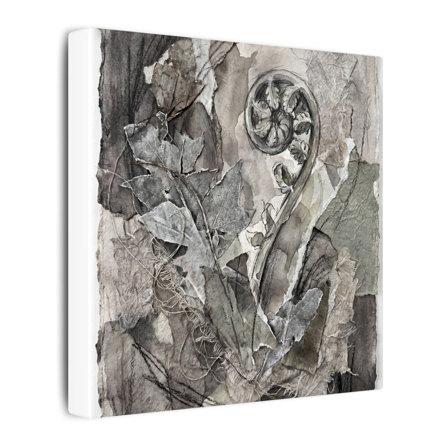 Japandi Fern Unfurling in Overcast | Texture Canvas Art