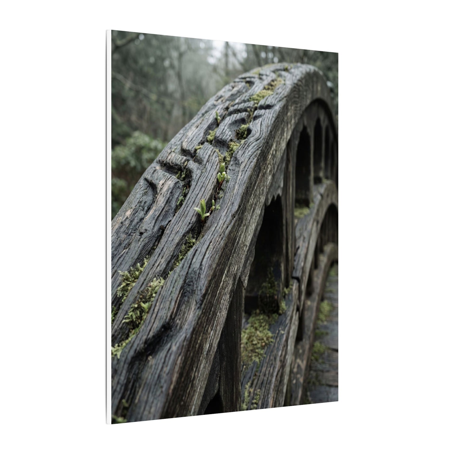 Overcast Wooden Bridge Canvas Art - Japandi Kanso