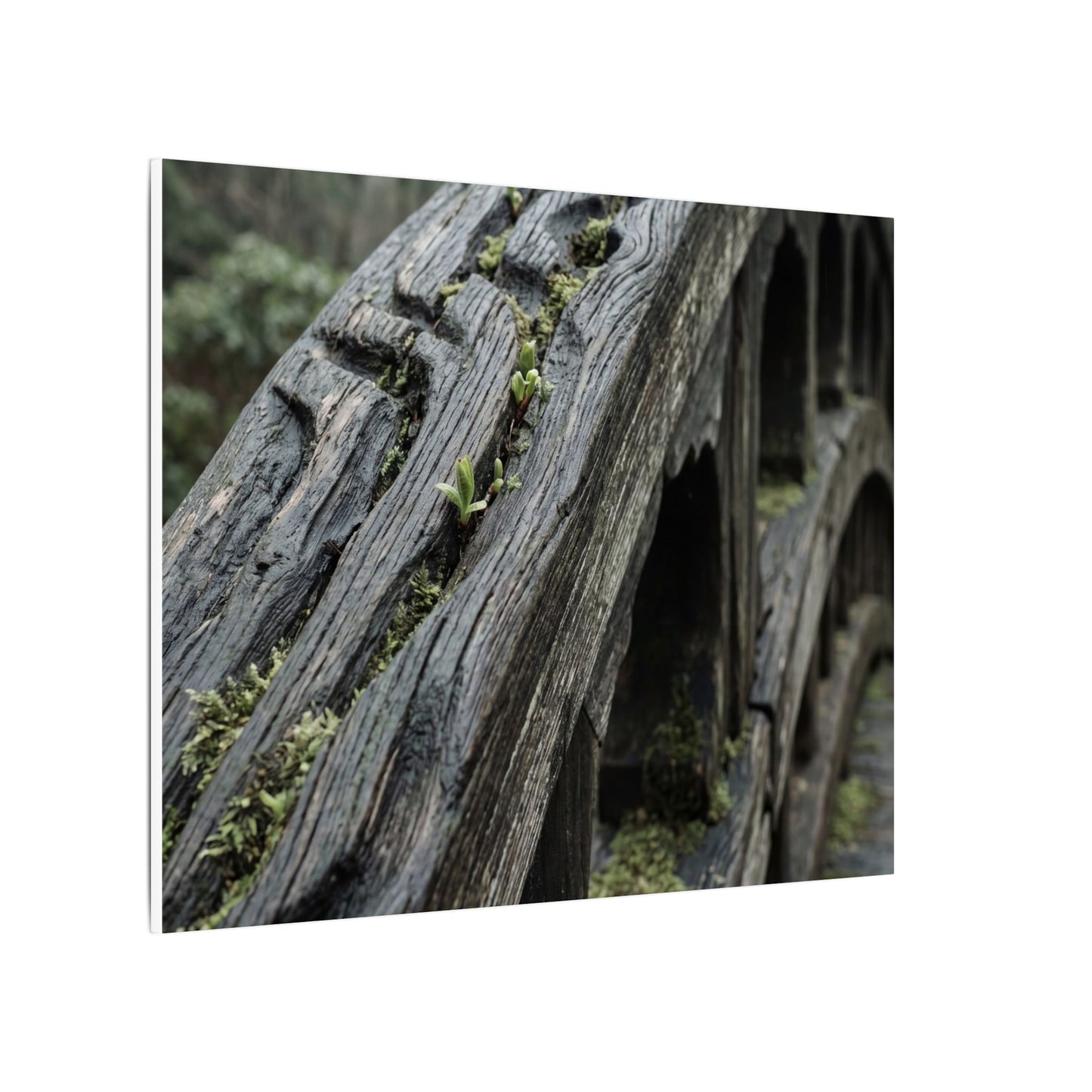 Overcast Wooden Bridge Canvas Art - Japandi Kanso