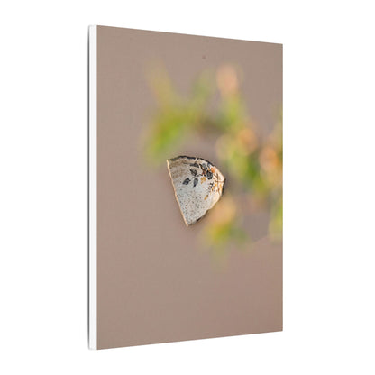 Ceramic Bowl Canvas Art | Spring Japandi Japanese Pattern Art