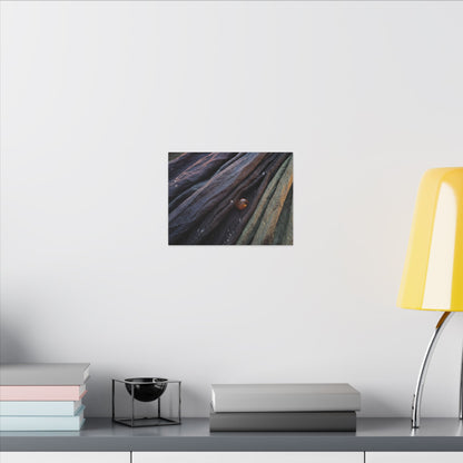 Silk Drape Shadow Zen Canvas Art | Moody Dark Japandi Art