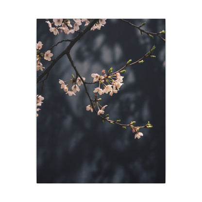 Cherry Blossom Moody Minimal Canvas Art | Bold Dark Japandi Art