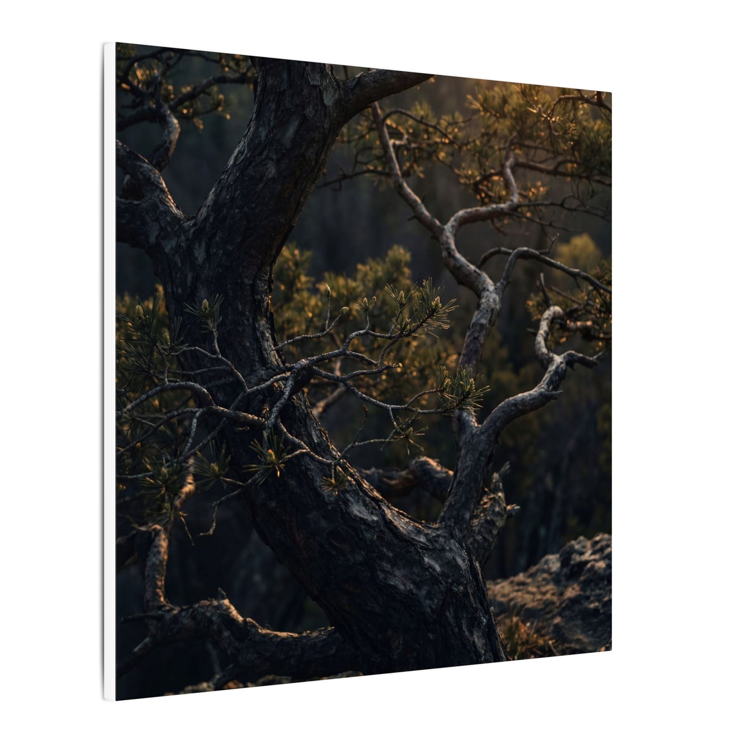 Moody Pine Tree Canvas Art - Moody Minimal Dark Japandi