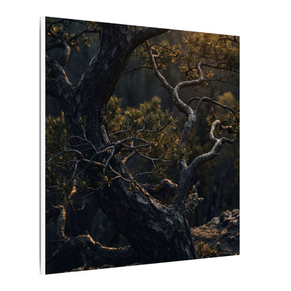 Moody Pine Tree Canvas Art - Moody Minimal Dark Japandi