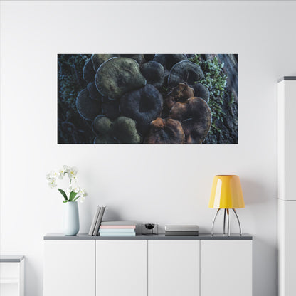Wild Mushrooms Moody Minimal Canvas Art | Moody Dark Japandi Art