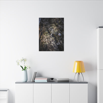 Moonlit Garden Japanese Pattern Canvas Art | Elegant Japandi Art