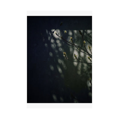 Shoji Screen Wall Art Print | Spring Dark Japandi Moody Minimal Art