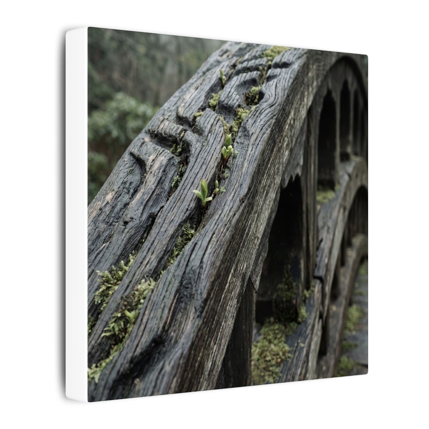 Overcast Wooden Bridge Canvas Art - Japandi Kanso