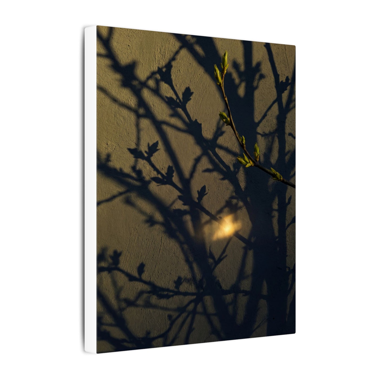 Bold Shadow Play Canvas Art - Moody Minimal Dark Japandi