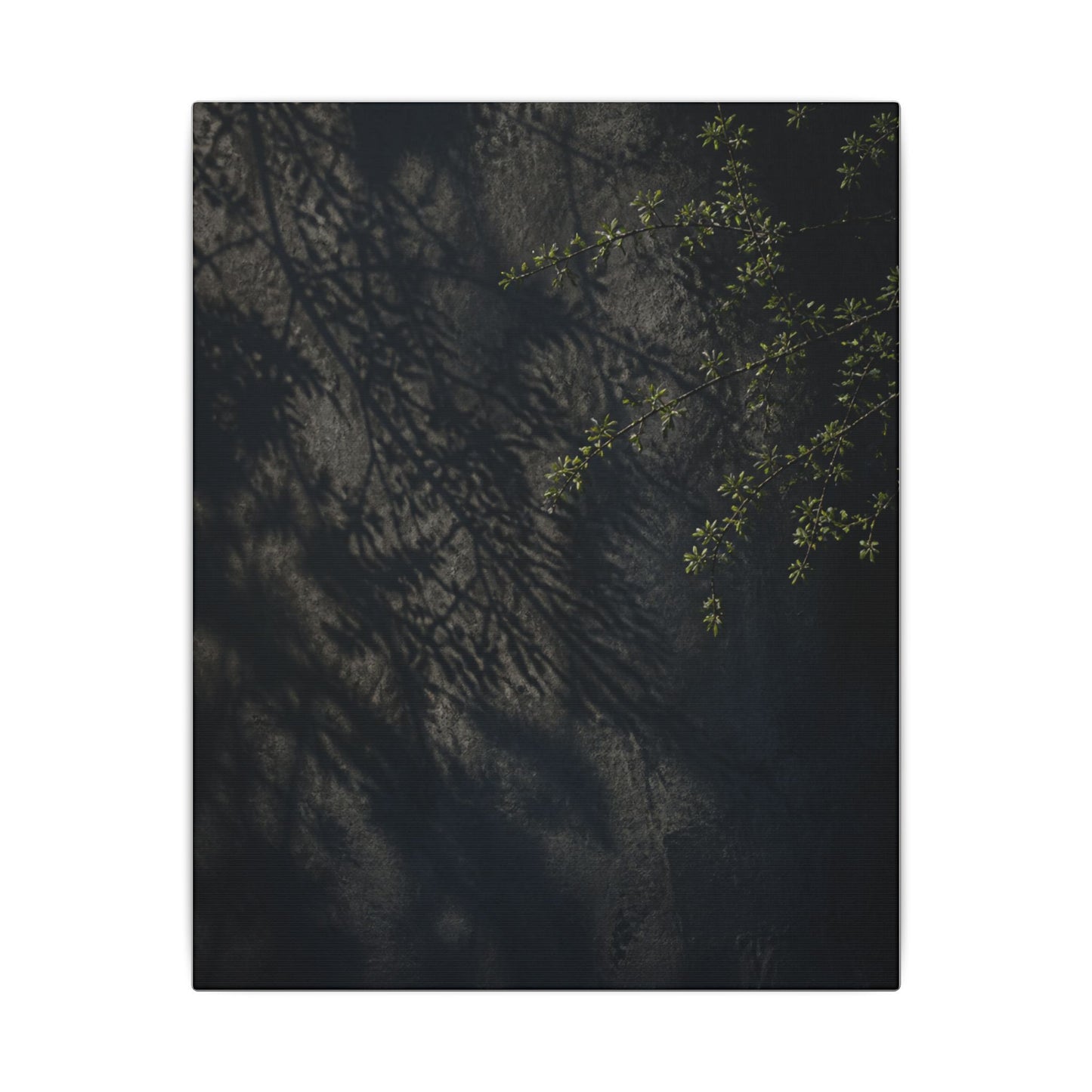 Overcast Shadow Play Canvas Art - Dark Japandi Seijaku