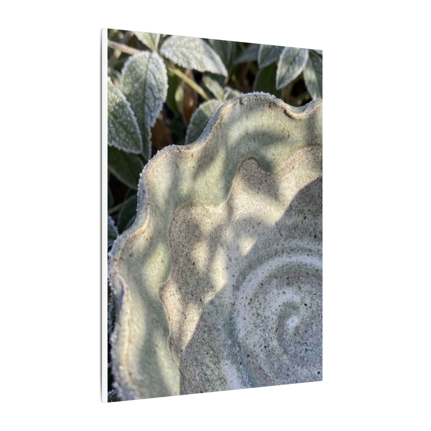 Dappled Ceramic Bowl Canvas Art - Japandi Seijaku
